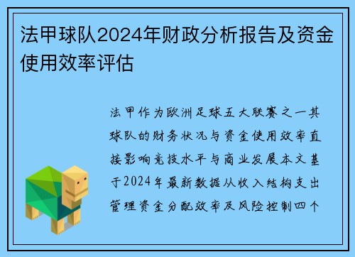 法甲球队2024年财政分析报告及资金使用效率评估